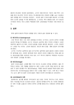 [우수자료] 일본의 패션 디자인 문화에 대한 분석-3