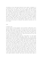 [연애인 포르노사건] 미디어를 통해 만들어진 오양 사건이 사회에 미친 영향-6