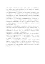 [생태관광] 환경적으로 건전하며 지속가능한 여가문화와 생태관광-6
