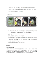 경영학원론_사업계획서_웰빙삼겹살_A+자료-10