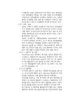 미생물의 관찰 레포트-4