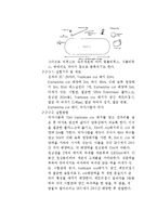 미생물의 관찰 레포트-7