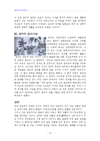 유교와 도교에 관한자료-10