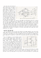 푸시-풀 증폭기-3