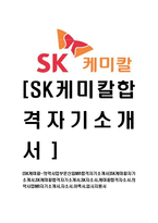 [SK케미칼-의약사업부문신입MR합격자기소개서]SK케미칼자기소개서,SK케미칼합격자기소개서,SK자소서,케미칼합격자소서,의약사업MR자기소개서,자소서,이력서,입사지원서-1