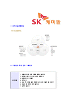 [SK케미칼-의약사업부문신입MR합격자기소개서]SK케미칼자기소개서,SK케미칼합격자기소개서,SK자소서,케미칼합격자소서,의약사업MR자기소개서,자소서,이력서,입사지원서-6