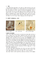 [일본사] 호겐, 헤이지난과 겐페이 전쟁-2
