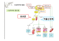 체온과 면역 레포트-3