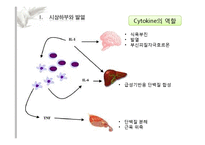 체온과 면역 레포트-5