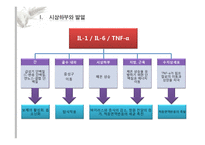 체온과 면역 레포트-6