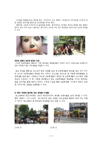 [교육학] 청소년 화장 실태 연구-4