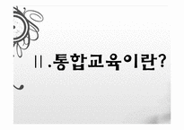 [교육사회학] 통합교육의 개념과 쟁점-4