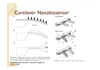 나노 바이오센서(Nano Biosensor) 동향 및 전망-17