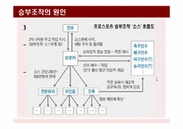 [스포츠사회학] 승부조작과 스포츠 도박에 대하여-5