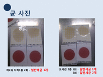 [식품학] 자판기 커피의 위생상태 조사-11