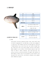 [식품영양] 개복치 조사-2
