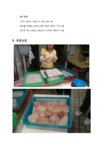 [식품영양] 개복치 조사-17