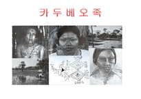 레비스트로스 `슬픈열대` 작품연구-14