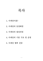 [국제기구] 아세안의 발전과정과 향후 전망-2