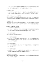 [사회복지] 국내외 사회복지 유사서비스 조사-13
