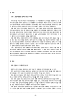 언론 프레임 분석-노무현 대통령 탄핵사태-2