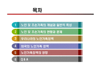 [사회복지] 우리나라 노인가족 정책-2