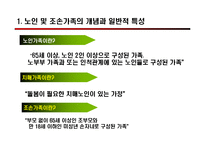 [사회복지] 우리나라 노인가족 정책-3