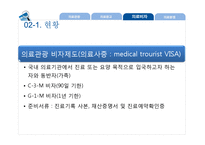 의료관광의 법적 쟁점과 개선방안-12