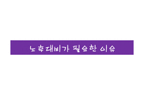 노후대책 관련 제도 연구-3