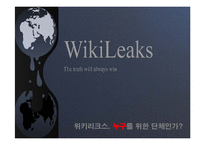 위키리크스 찬반 논란-1
