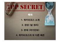 위키리크스 찬반 논란-3