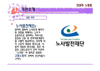 [사회복지] 노사발전재단 조사-3