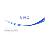 한류의 현황 및 평가-17