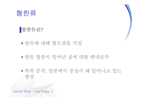 한류의 현황 및 평가-18