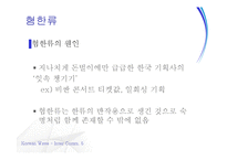 한류의 현황 및 평가-19