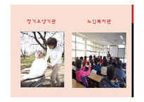 [노인복지] 우리나라 노인복지 현황과 문제점 해결방안-11