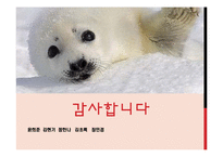 [노인복지] 우리나라 노인복지 현황과 문제점 해결방안-20