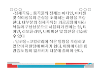 미국인의 식습관 문제와 개선방안-14