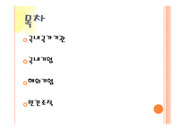 [사회복지] 국내외 사회복지 유사서비스 조사-2