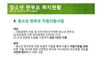 [사회복지] 청소년 한부모 실태 현황과 정책 연구-10