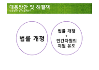 [사회복지] 청소년 한부모 실태 현황과 정책 연구-19