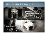 제주 강정마을 해군기지 건설과 환경문제 연구-2