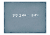 제주 강정마을 해군기지 건설과 환경문제 연구-5