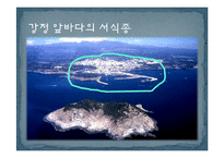 제주 강정마을 해군기지 건설과 환경문제 연구-8