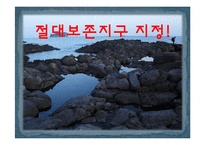 제주 강정마을 해군기지 건설과 환경문제 연구-17