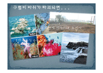 제주 강정마을 해군기지 건설과 환경문제 연구-18