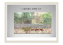장애인 성폭력 문제와 개선방안-13