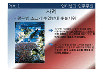 [사회학] 인터넷과 민주주의-11