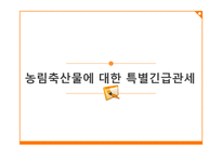 탄력관세제도 레포트-17