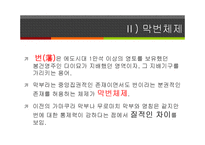 [일본사] 도쿠가와 이에야스와 에도시대의 성립-6